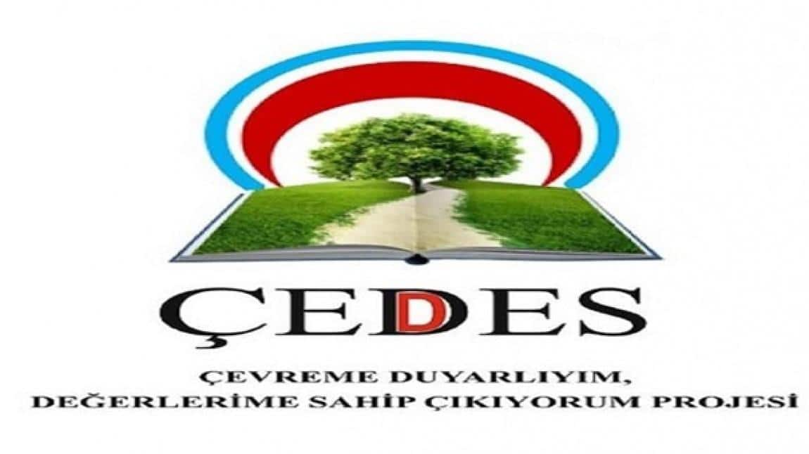 ÇEDES Projesi